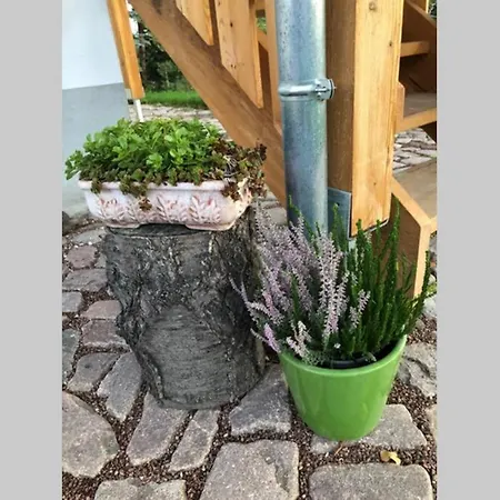 Ferienwohnung Auenbach * Hartha